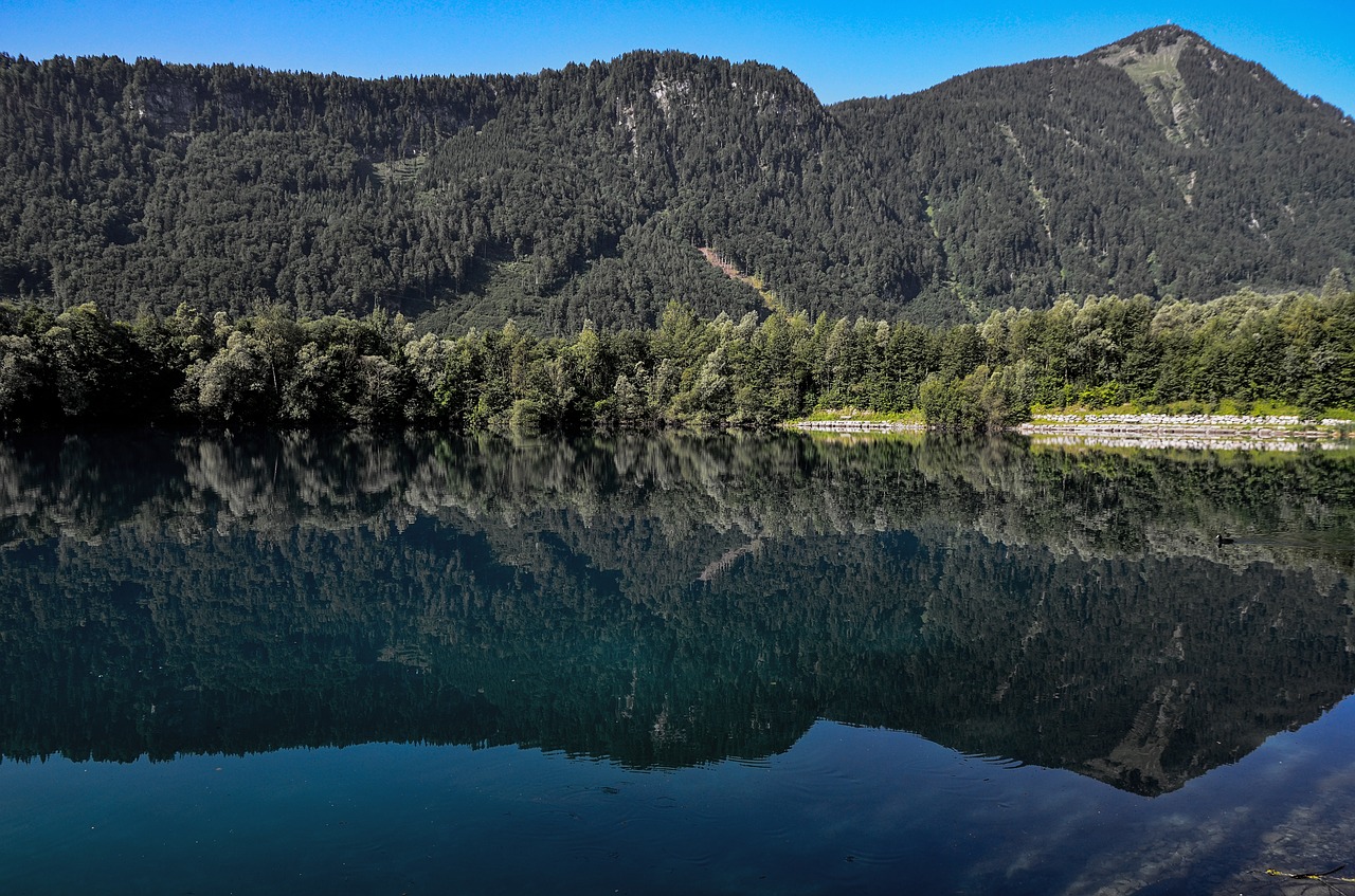 mirroring  water  nature free photo