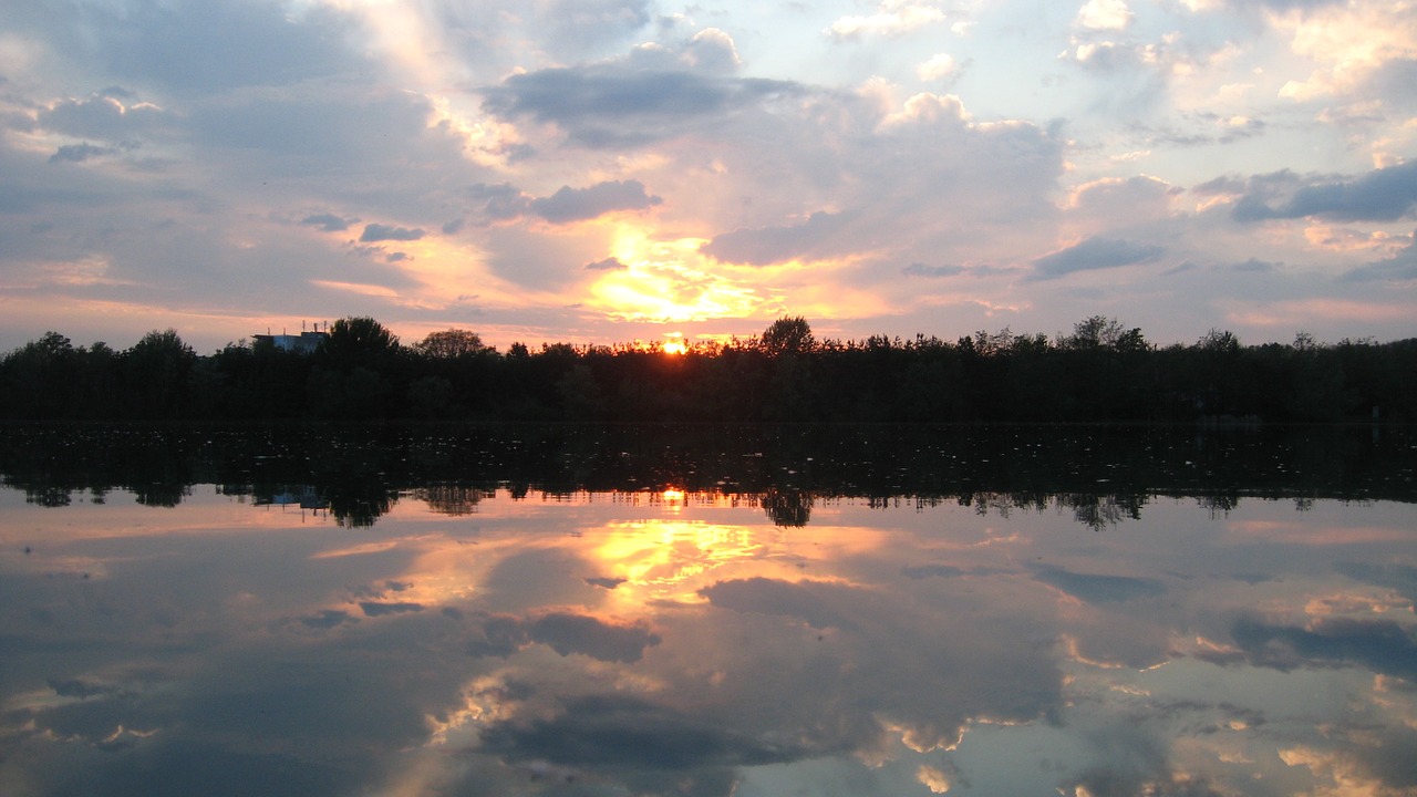 mirroring forest sunset free photo