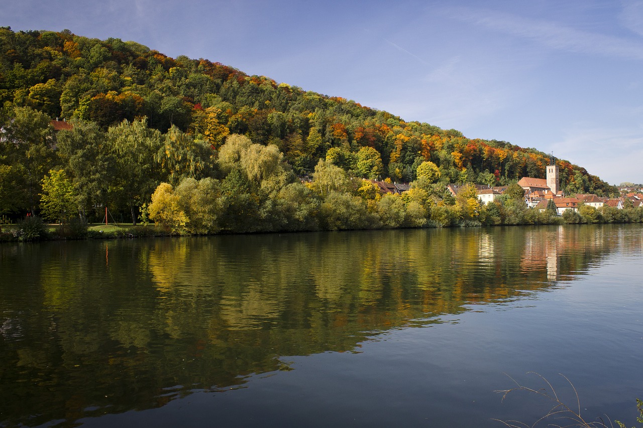 mirroring water trees free photo