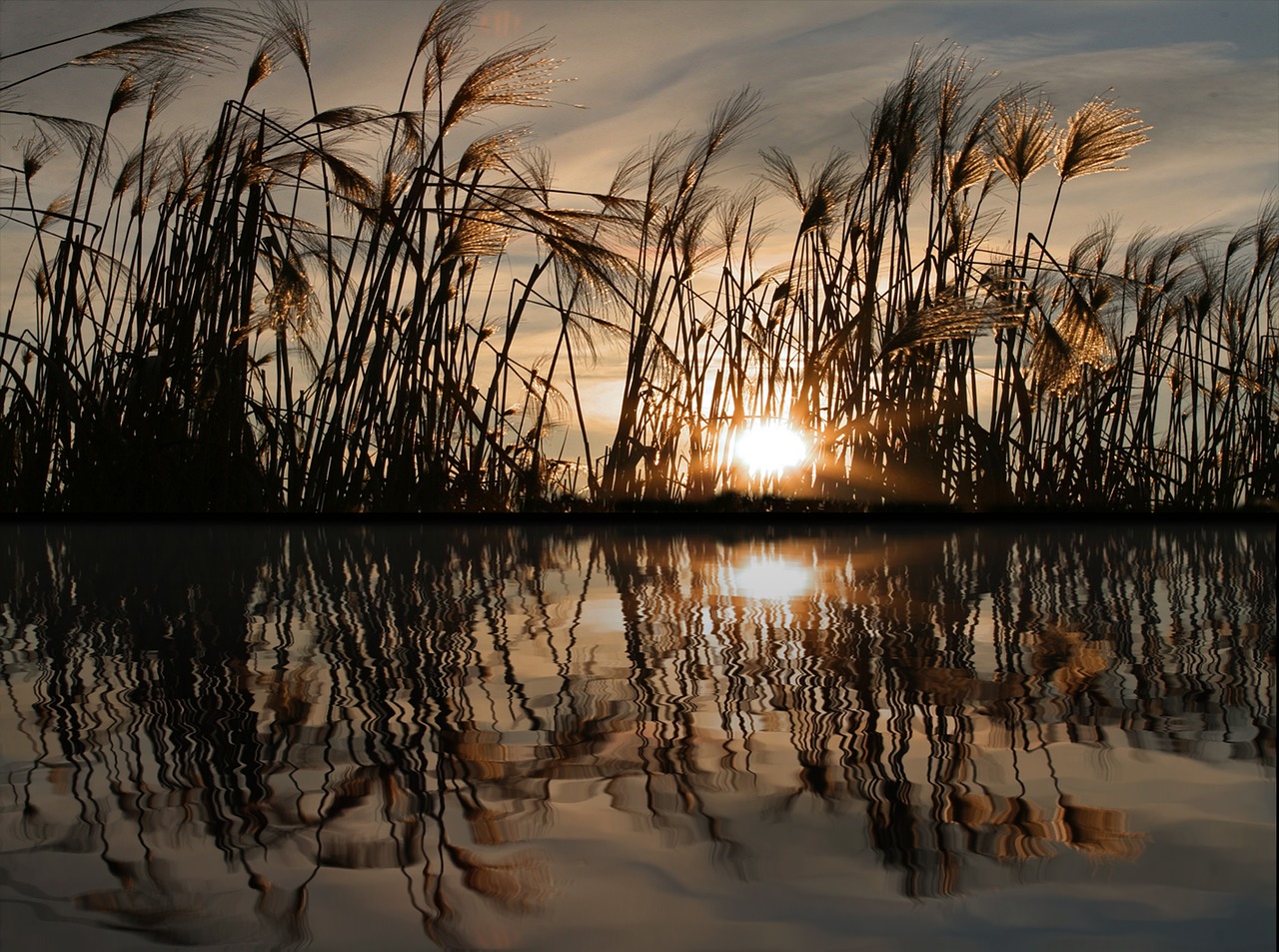 mirroring water reflections free photo