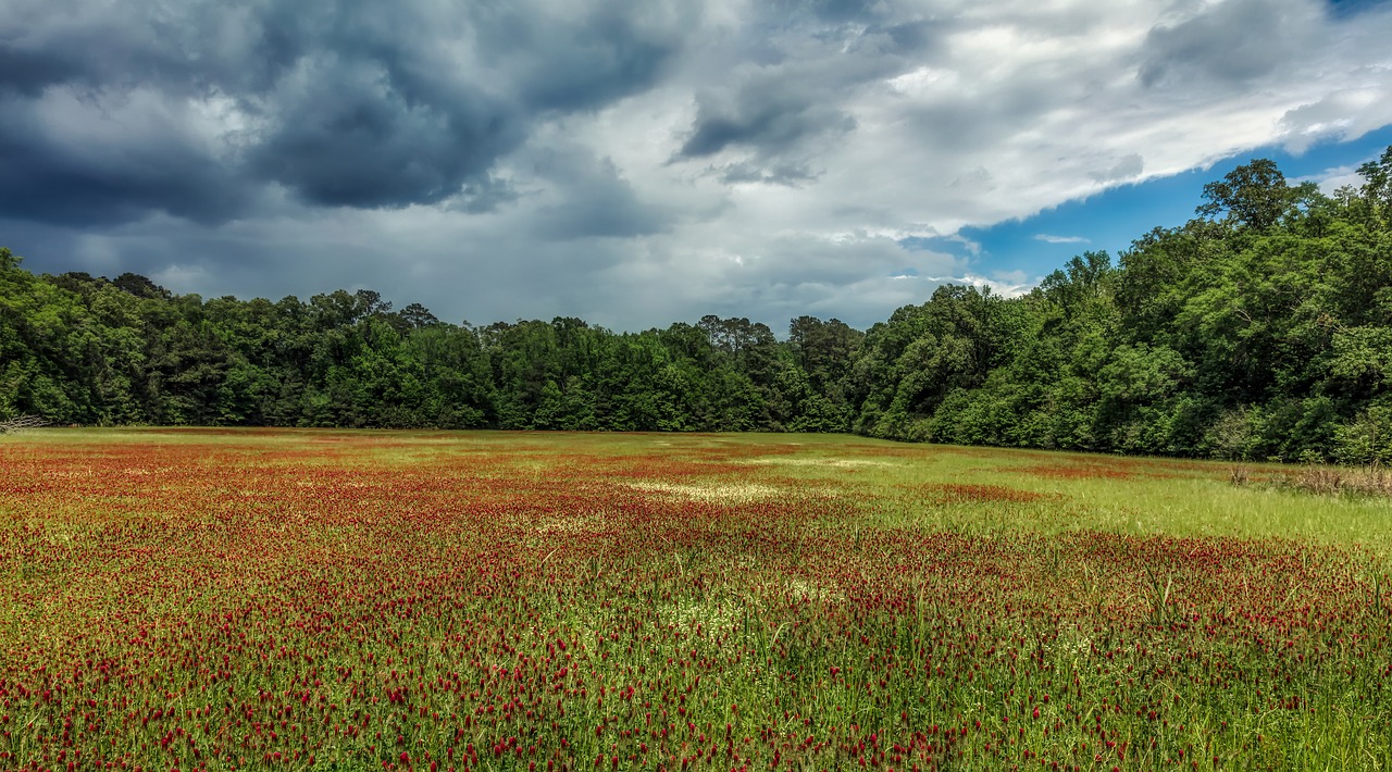 mississippi  panorama  meadow free photo