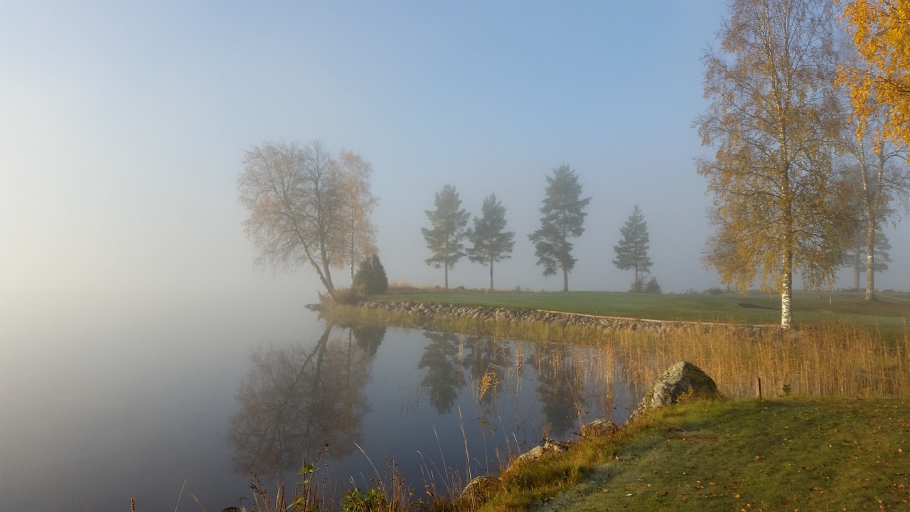 mist nature morning free photo