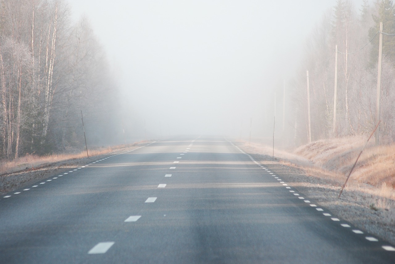 mist road early morning free photo