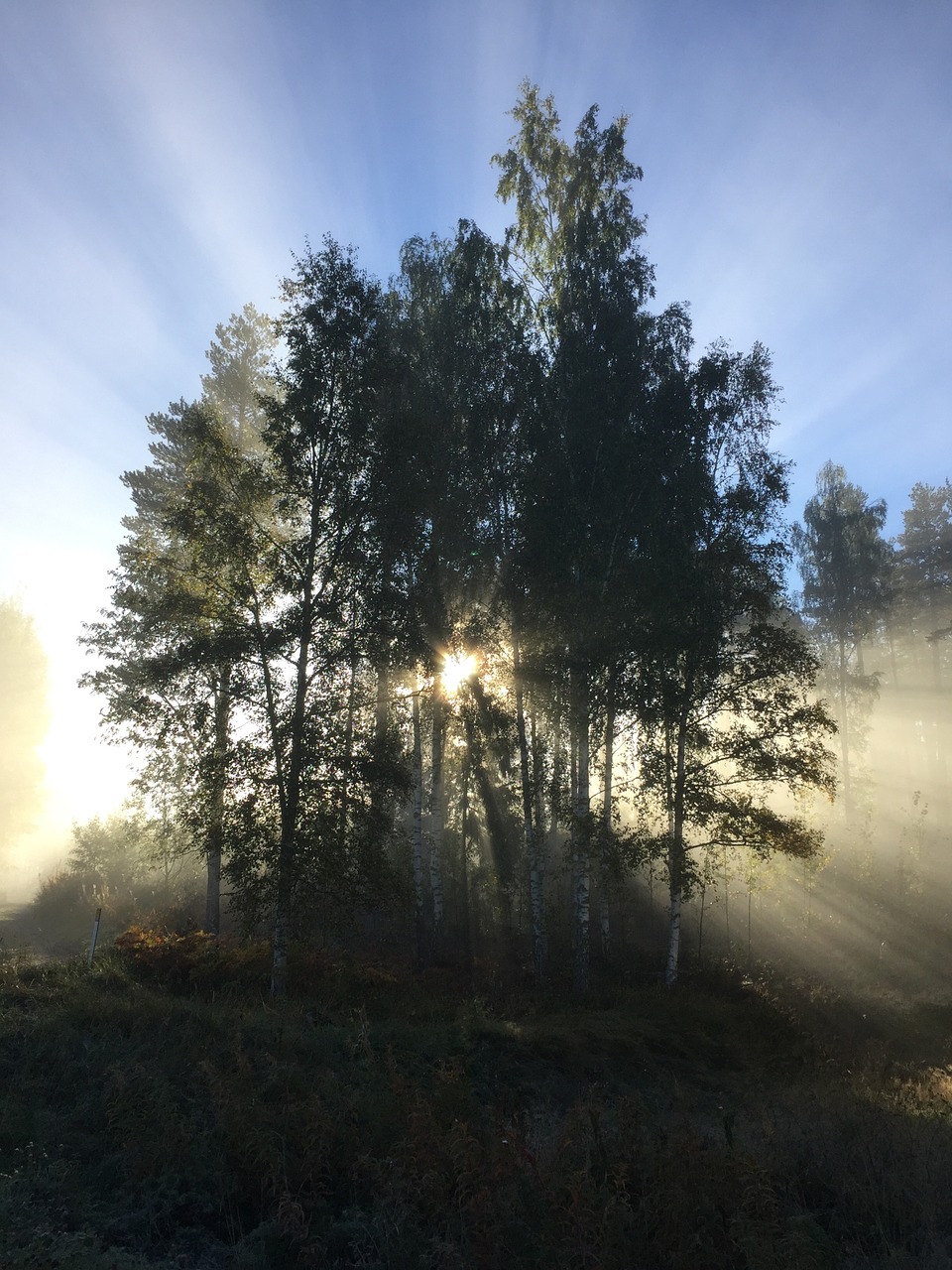 mist backlight rays of sunshine free photo