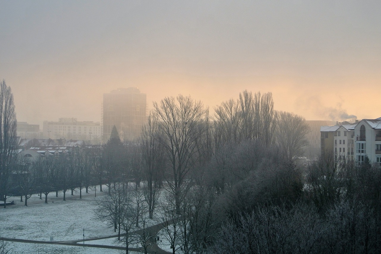 mist fog winter free photo