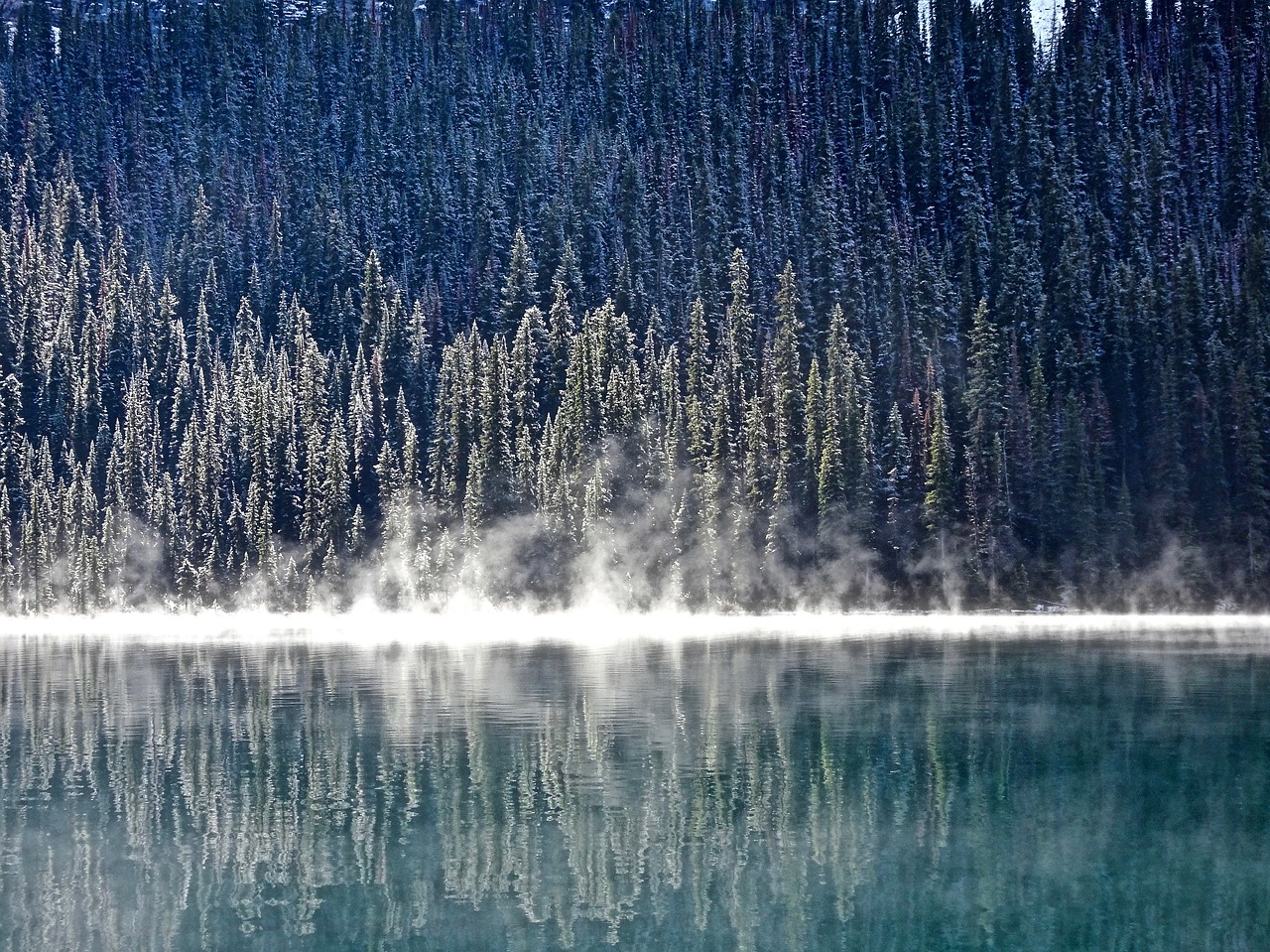 mist morning lake free photo