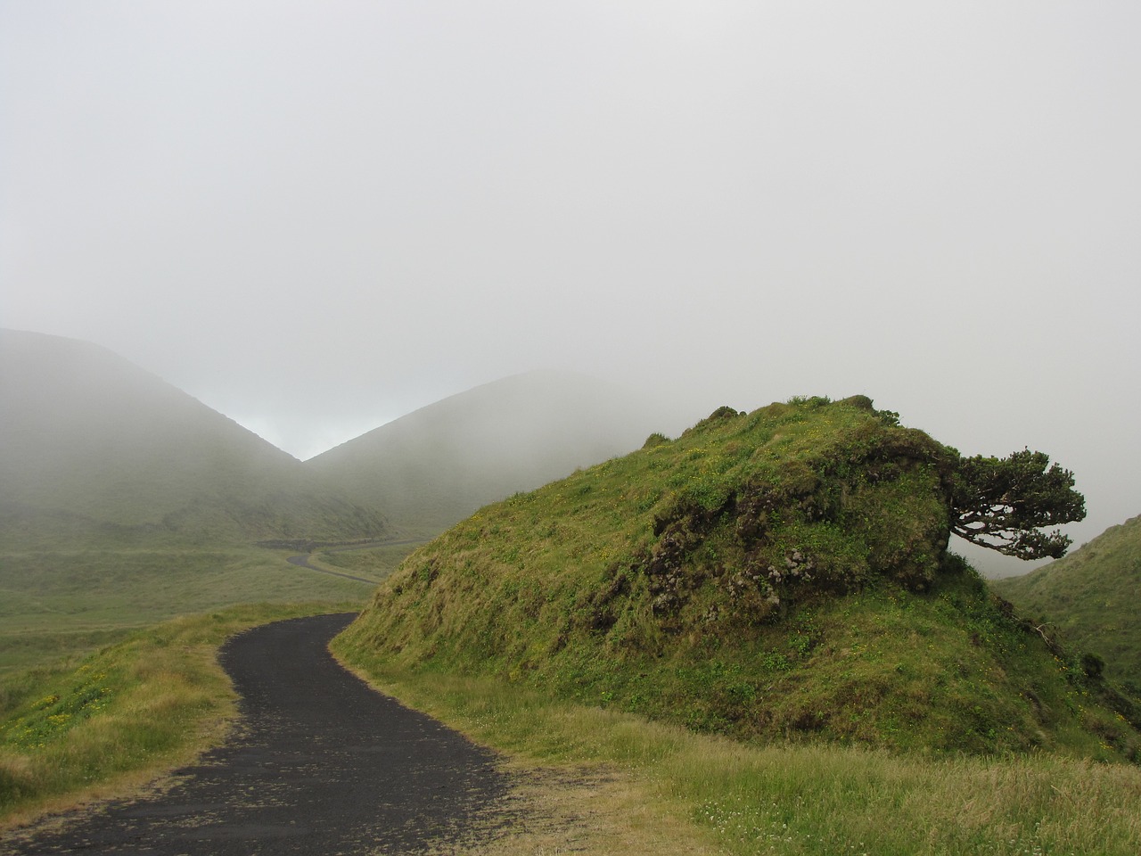 mist green hill free photo