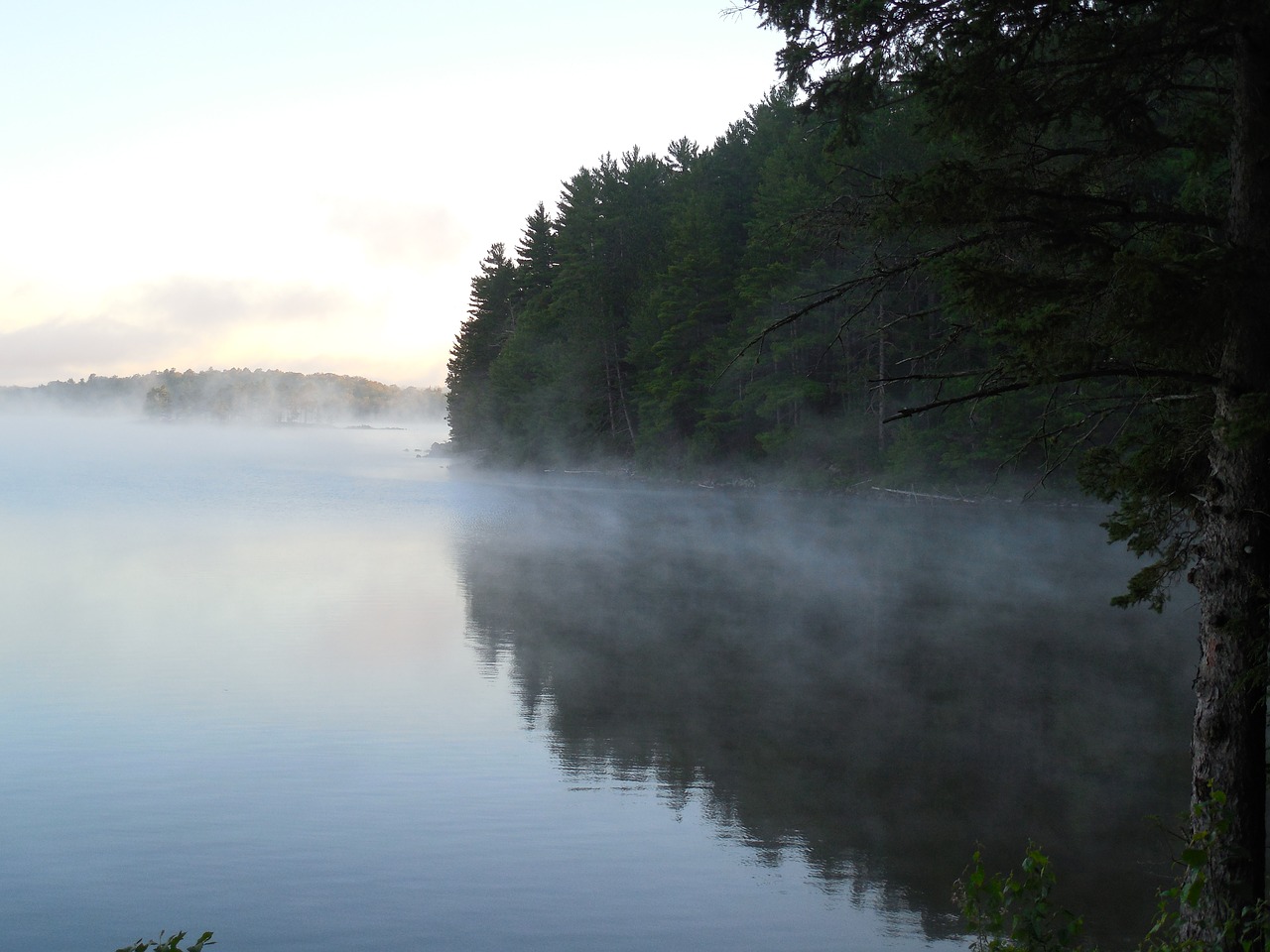 mist fog dawn free photo