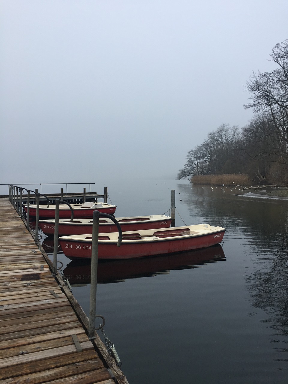 mist boats mooring free photo