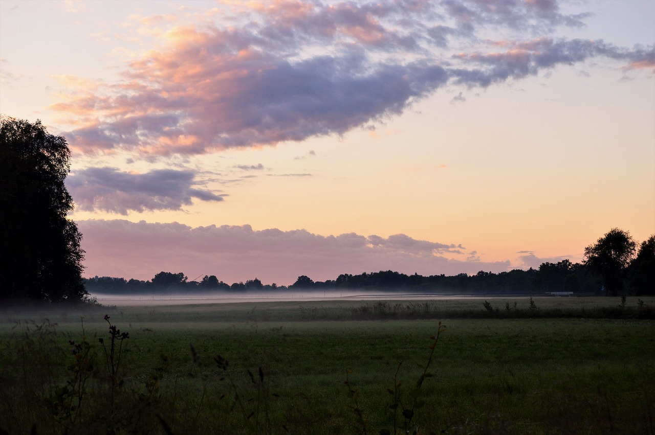 mist evening go free photo