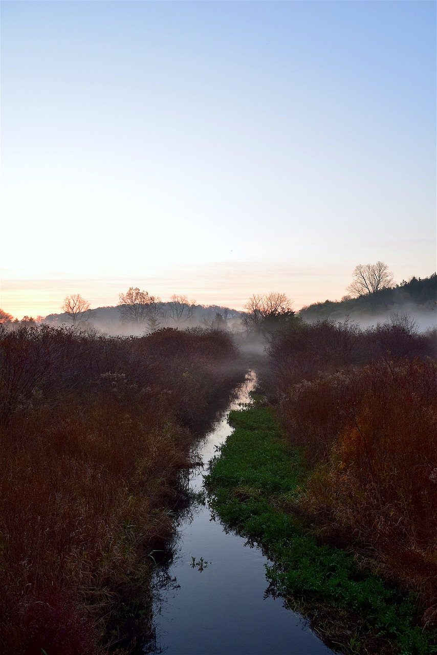 mist morning field free photo