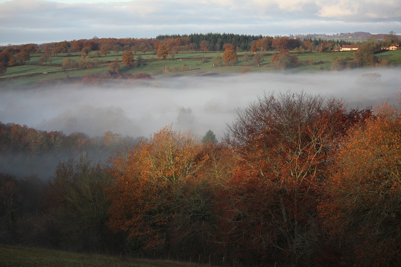 mist  valley  field free photo