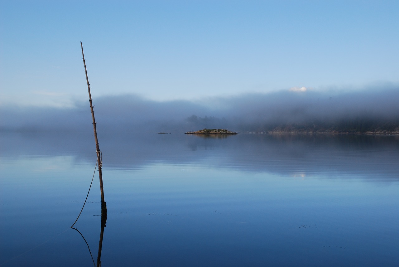 mist  morning  fjord free photo