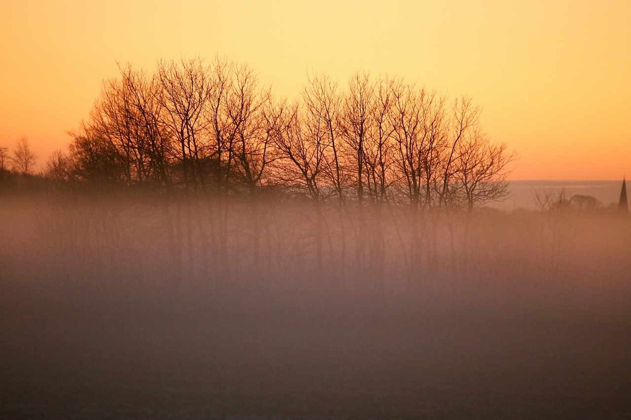 mist nature landscapes free photo