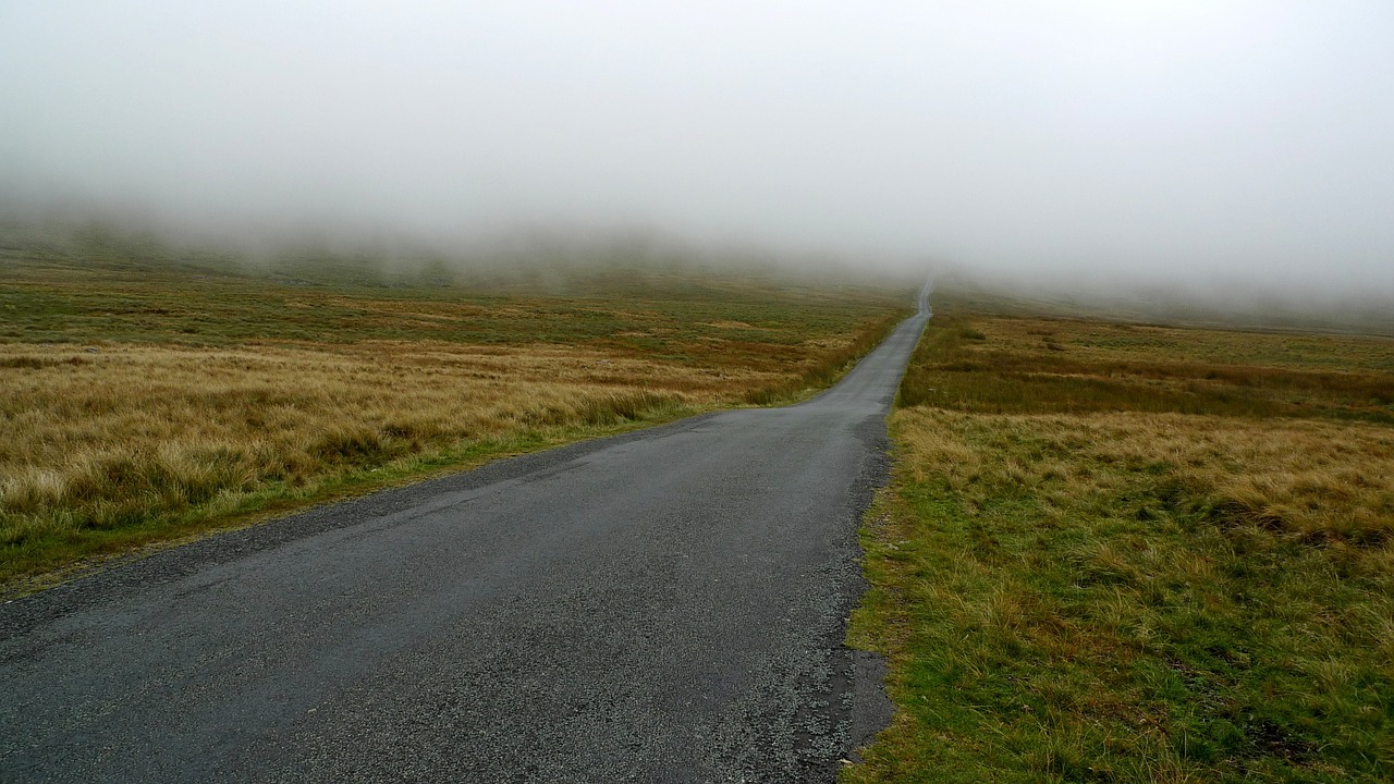 mist road fog free photo