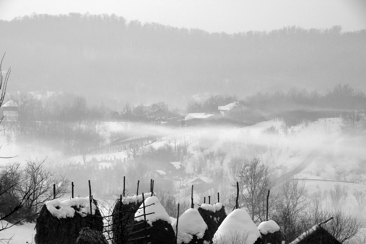 mist snow morning free photo