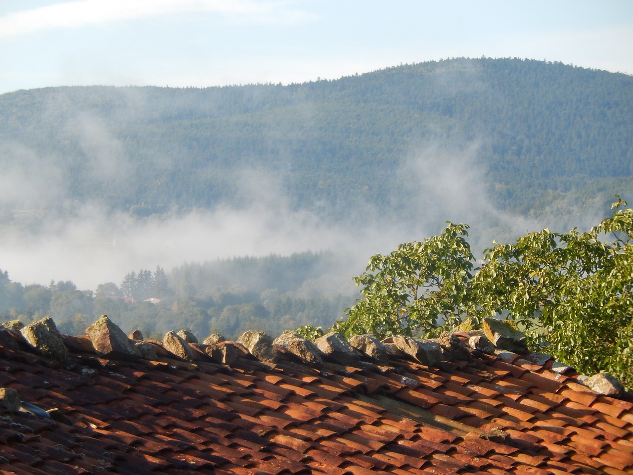 mist field roof free photo