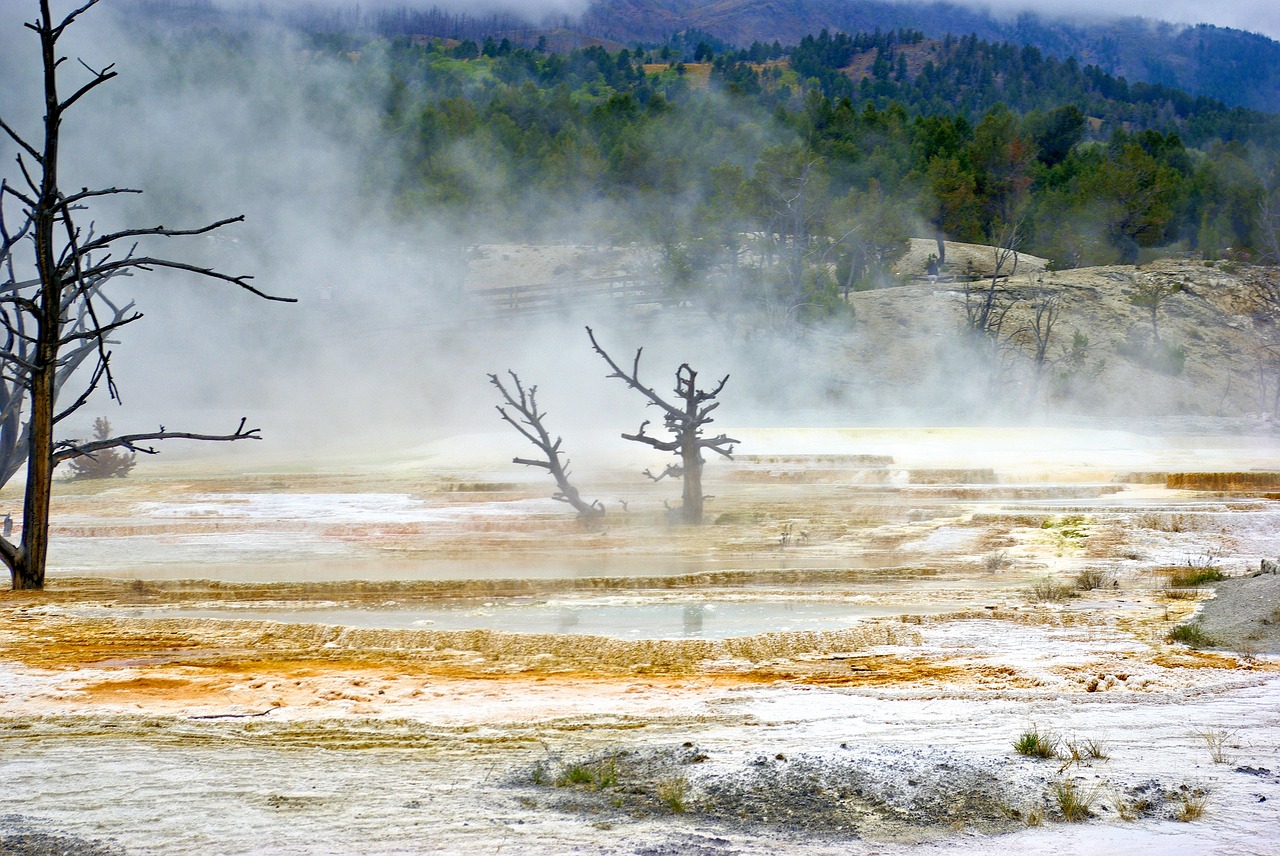 mist over canary spring  mammoth  hot free photo