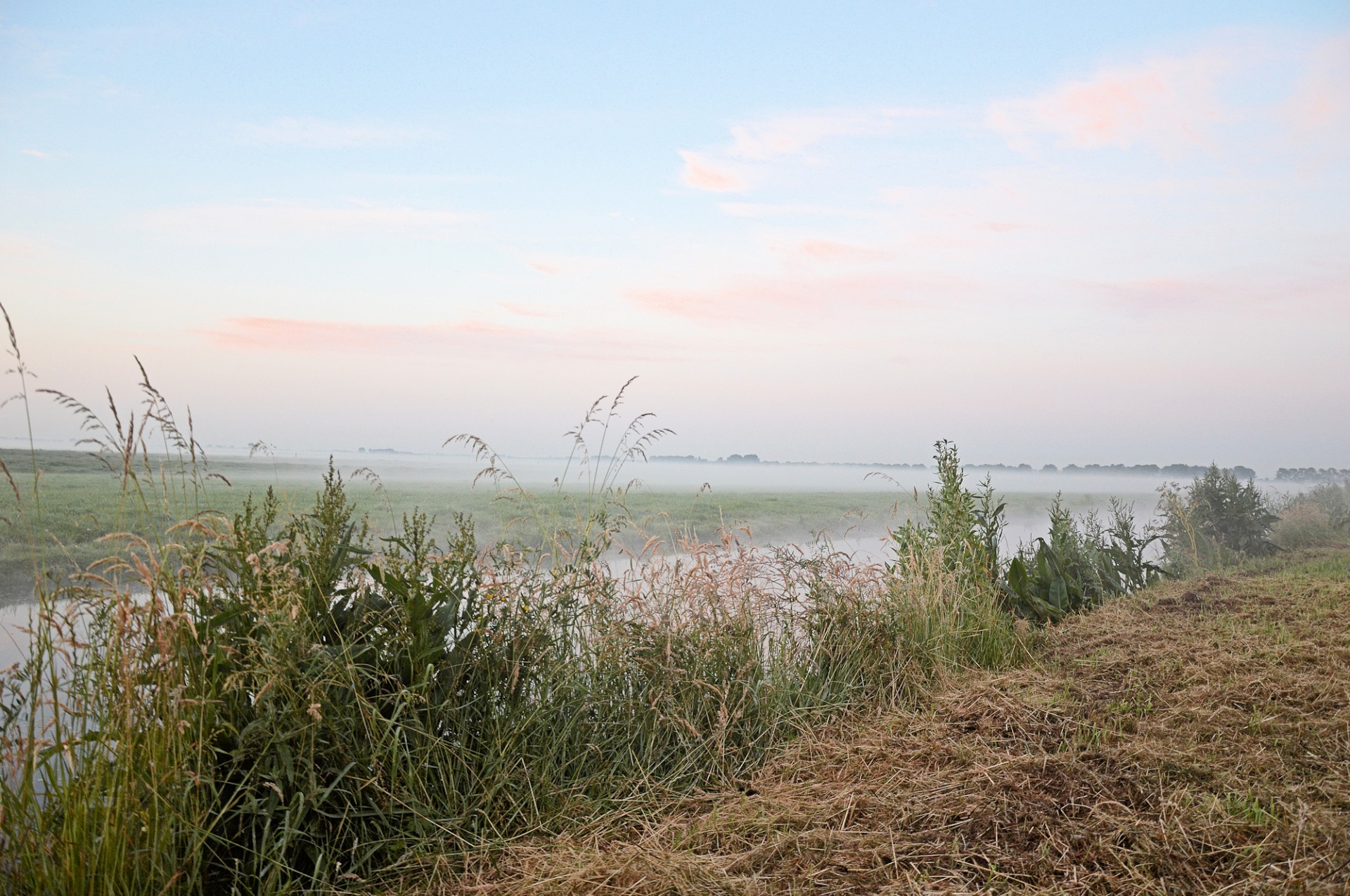 mist morning landscape free photo