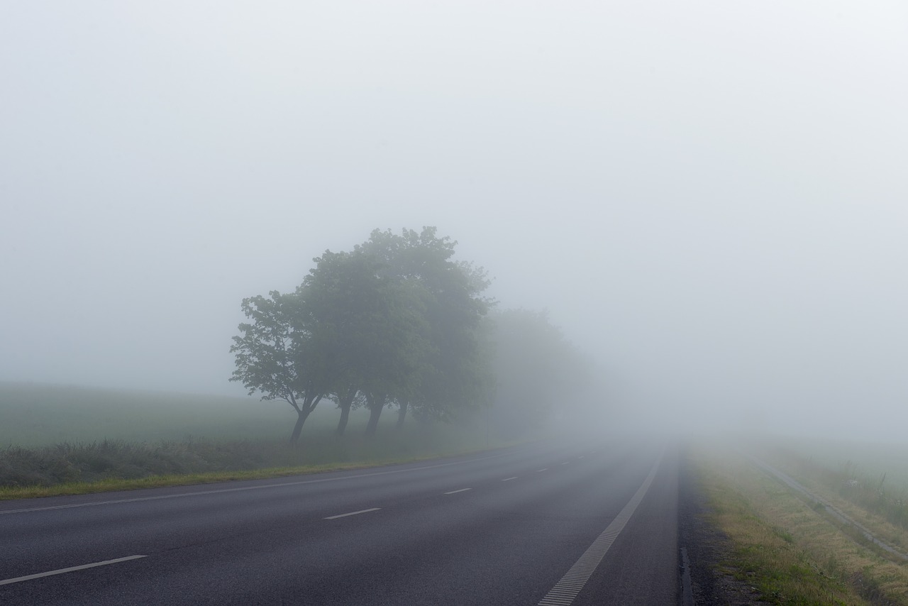 misty road fog free photo