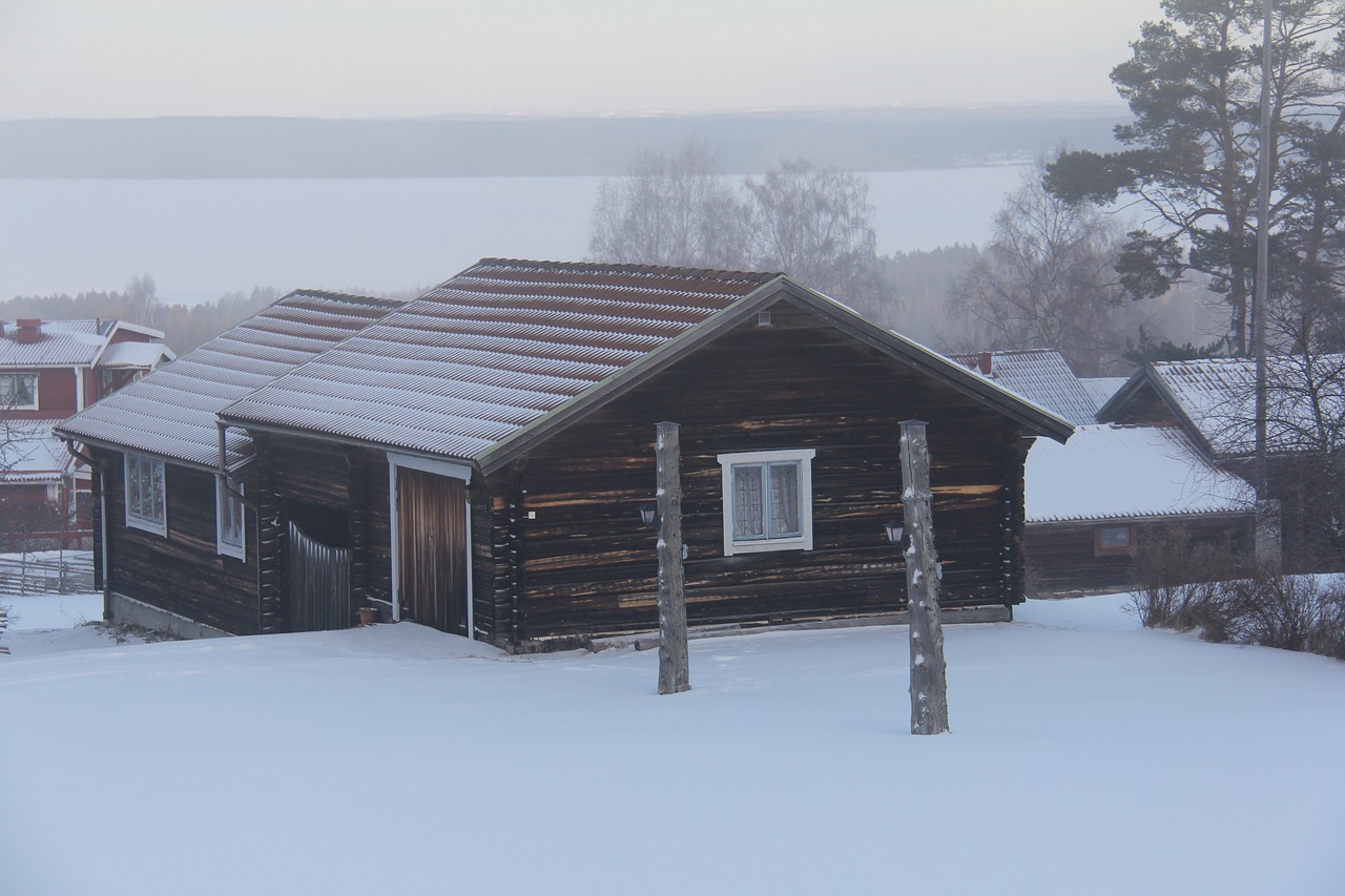 misty morning all white free photo