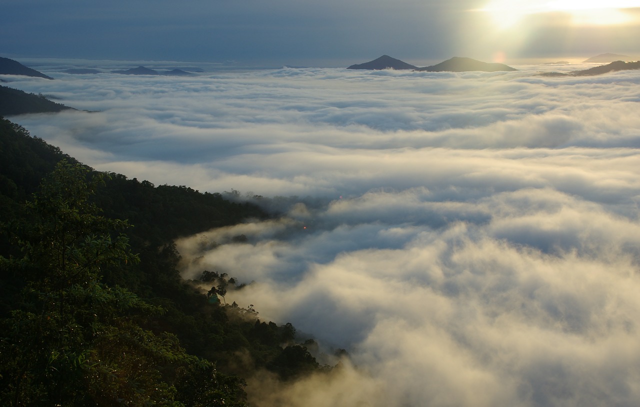 misty mist landscape free photo