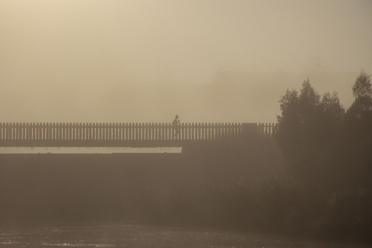 misty  bridge  jogging free photo