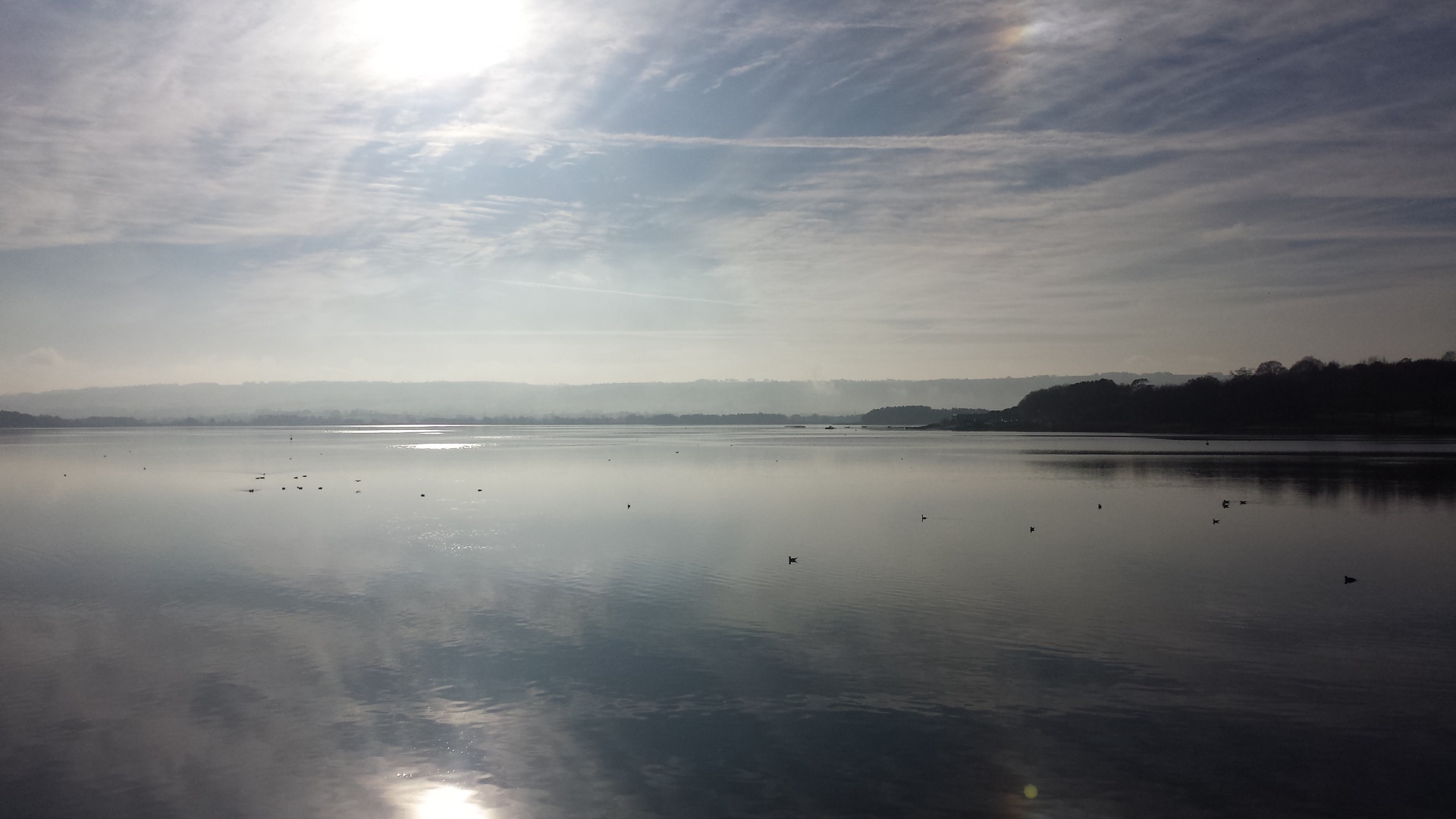 lake misty sunrise free photo