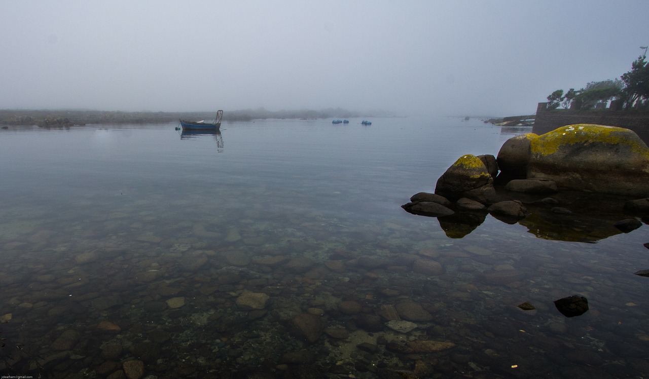 misy jacobsbay morning free photo