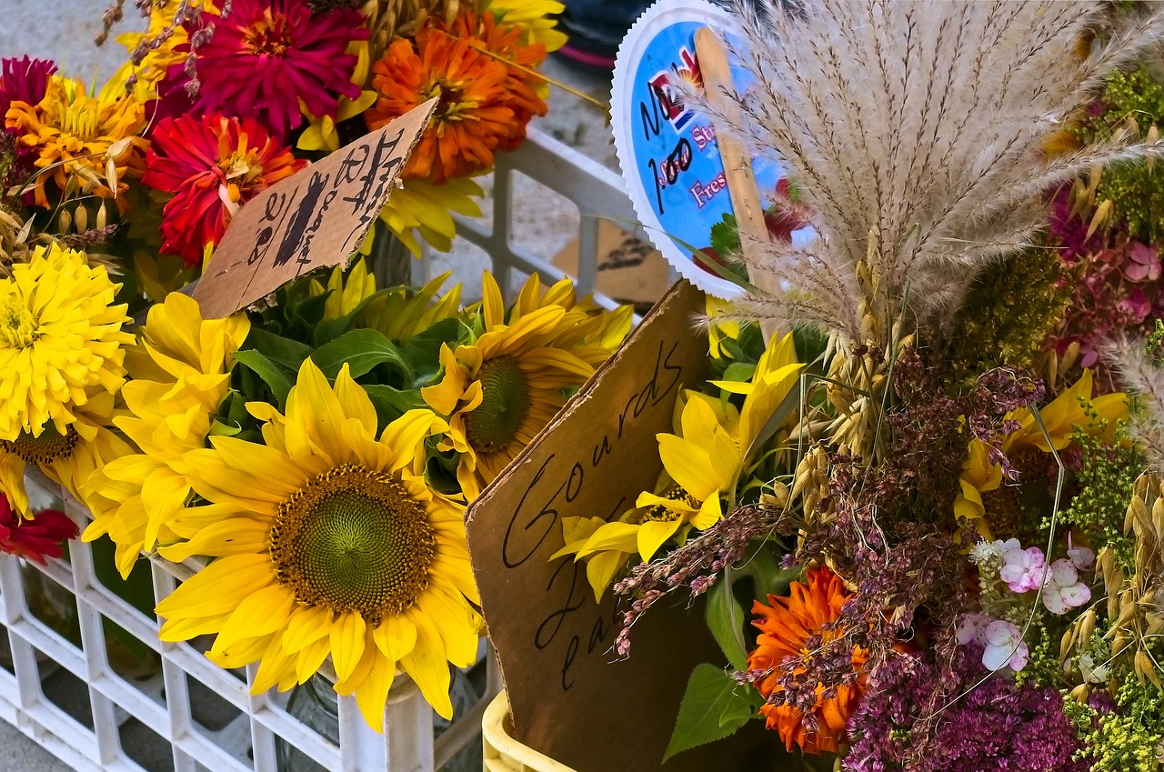 mixed flowers in madison  farmers market  sunflowers free photo