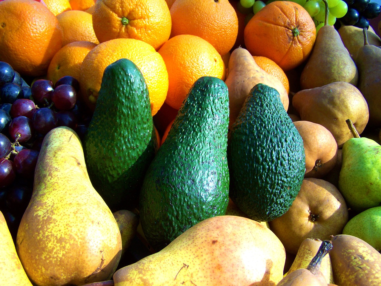 mixed fruit market color free photo