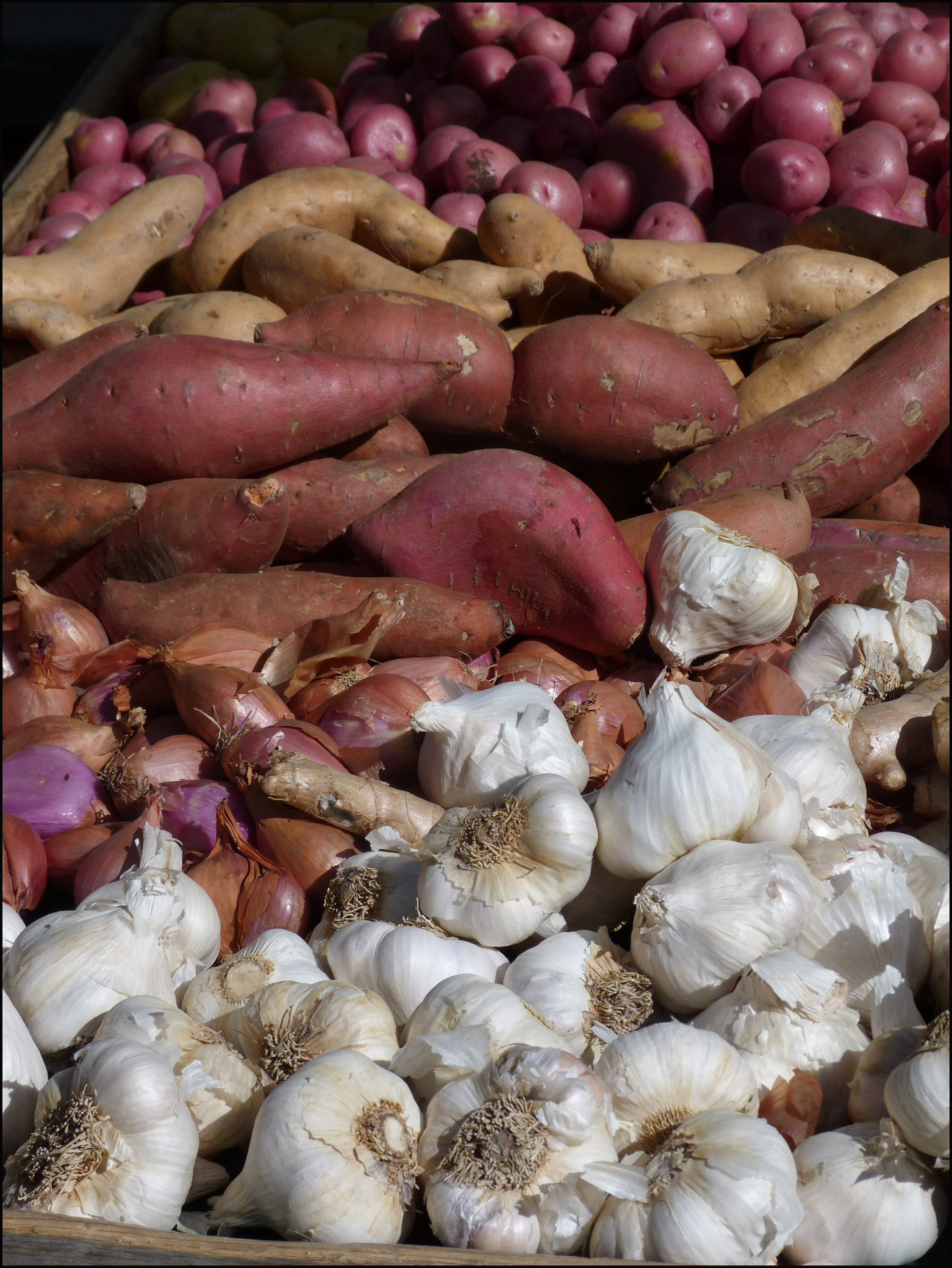 garlic yam potato free photo