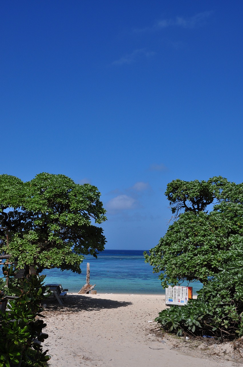 miyako island sea blue free photo