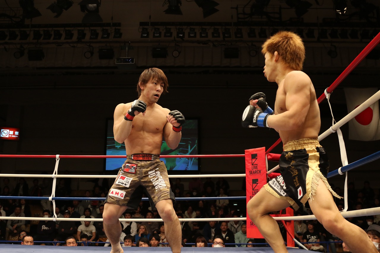 mma mixed martial arts japan free photo