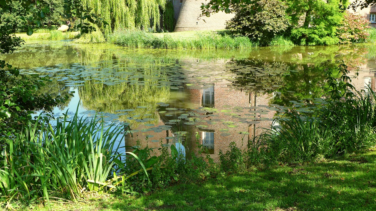 moated castle moat nature free photo