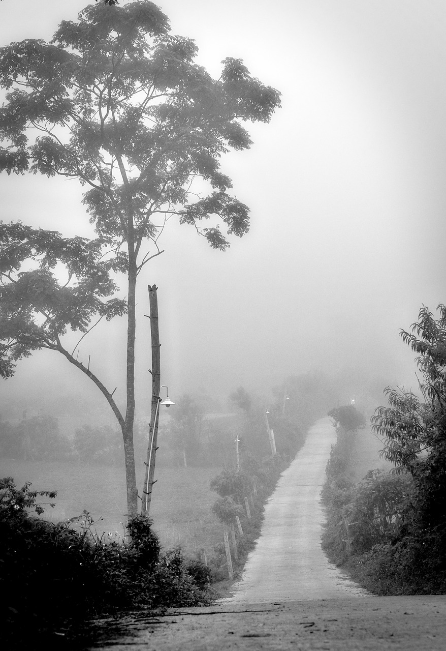 mộc châu  road  vietnam free photo