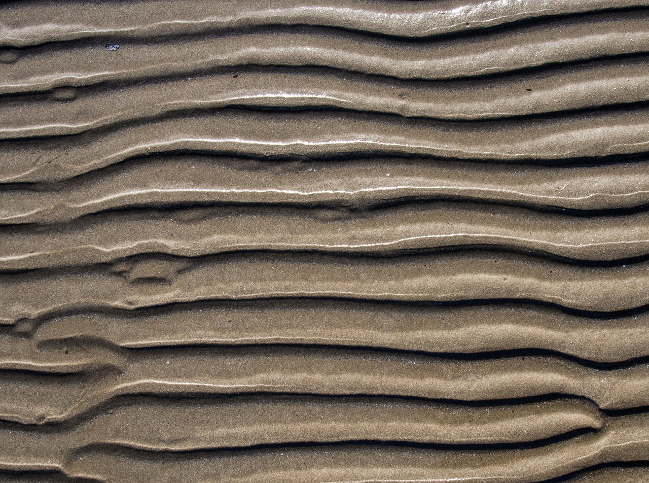 model  beach  sand free photo