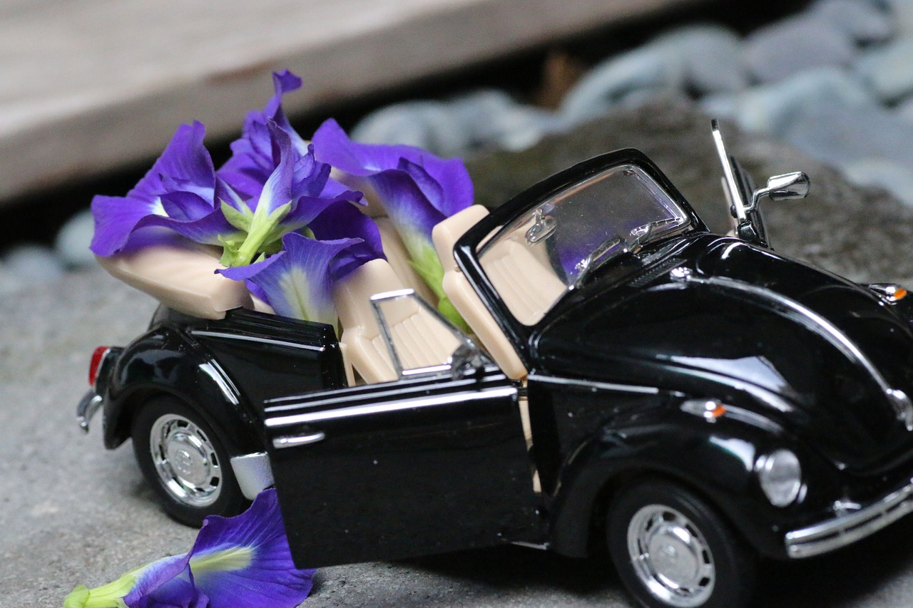 model car flower decoration free photo