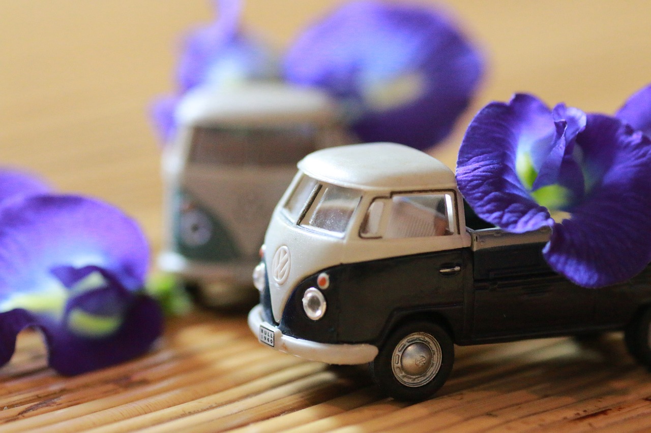 model car flower indoor free photo