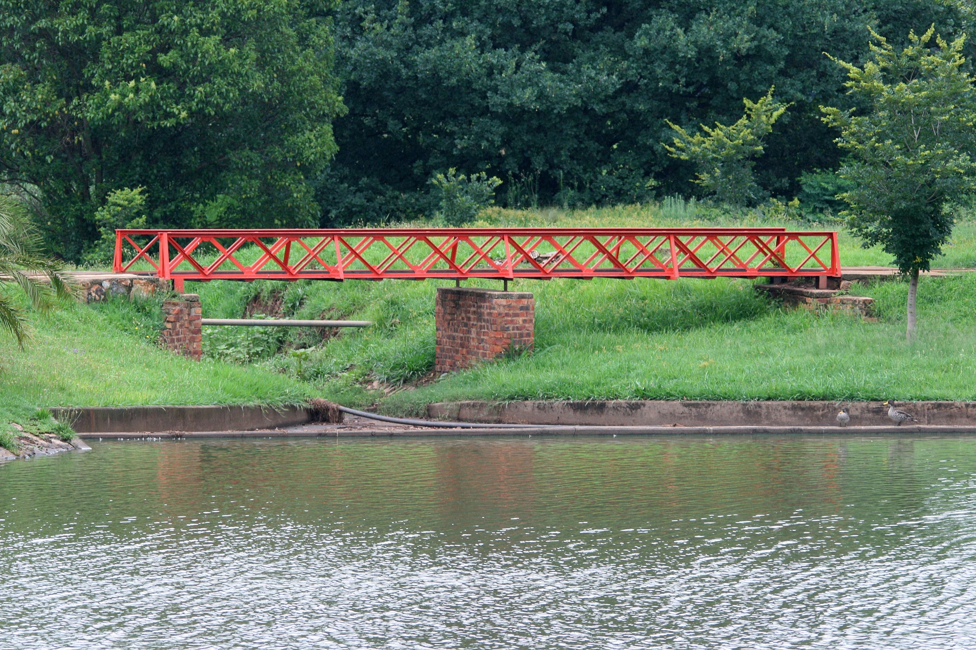 bridge red metal free photo