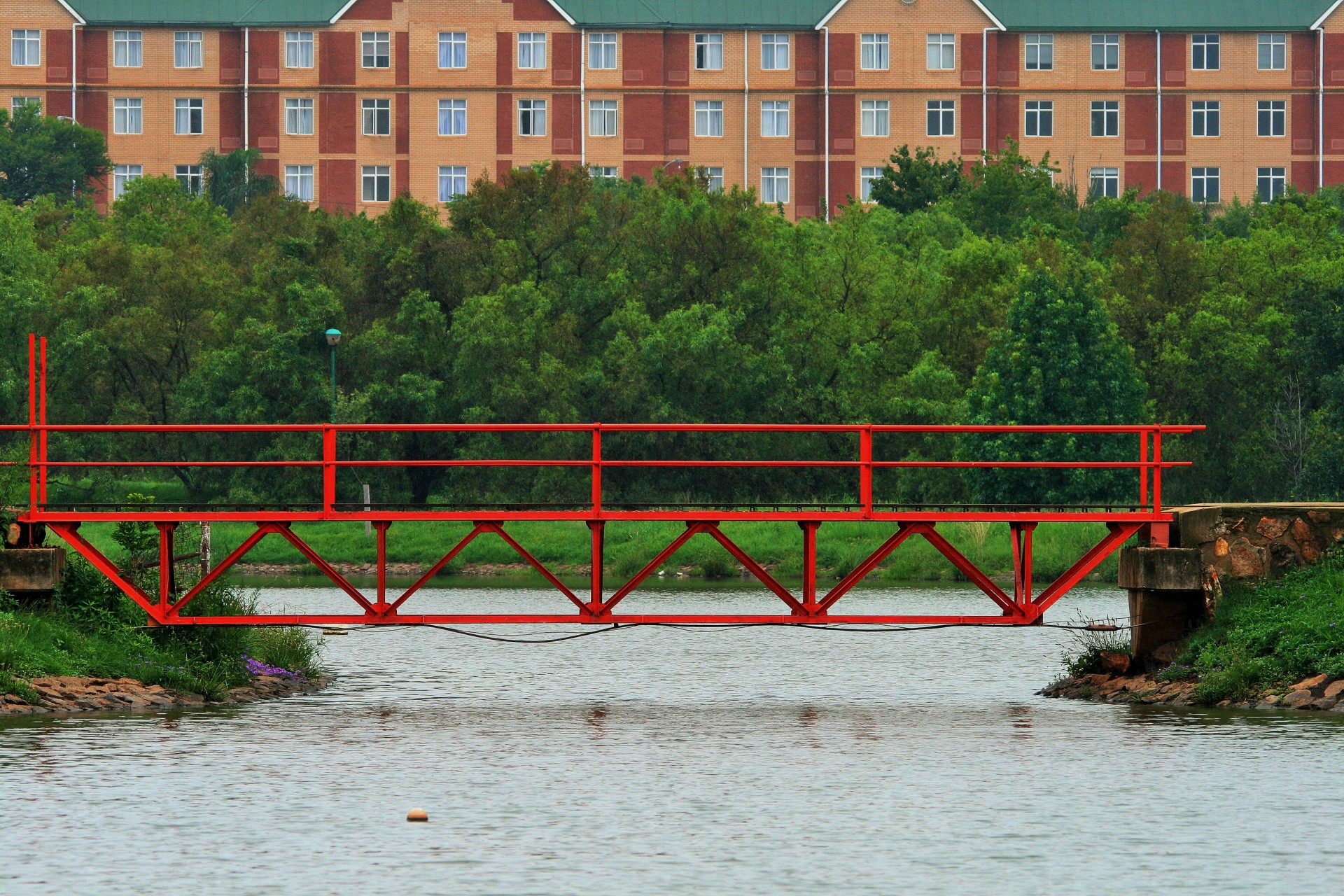 bridge water bush free photo