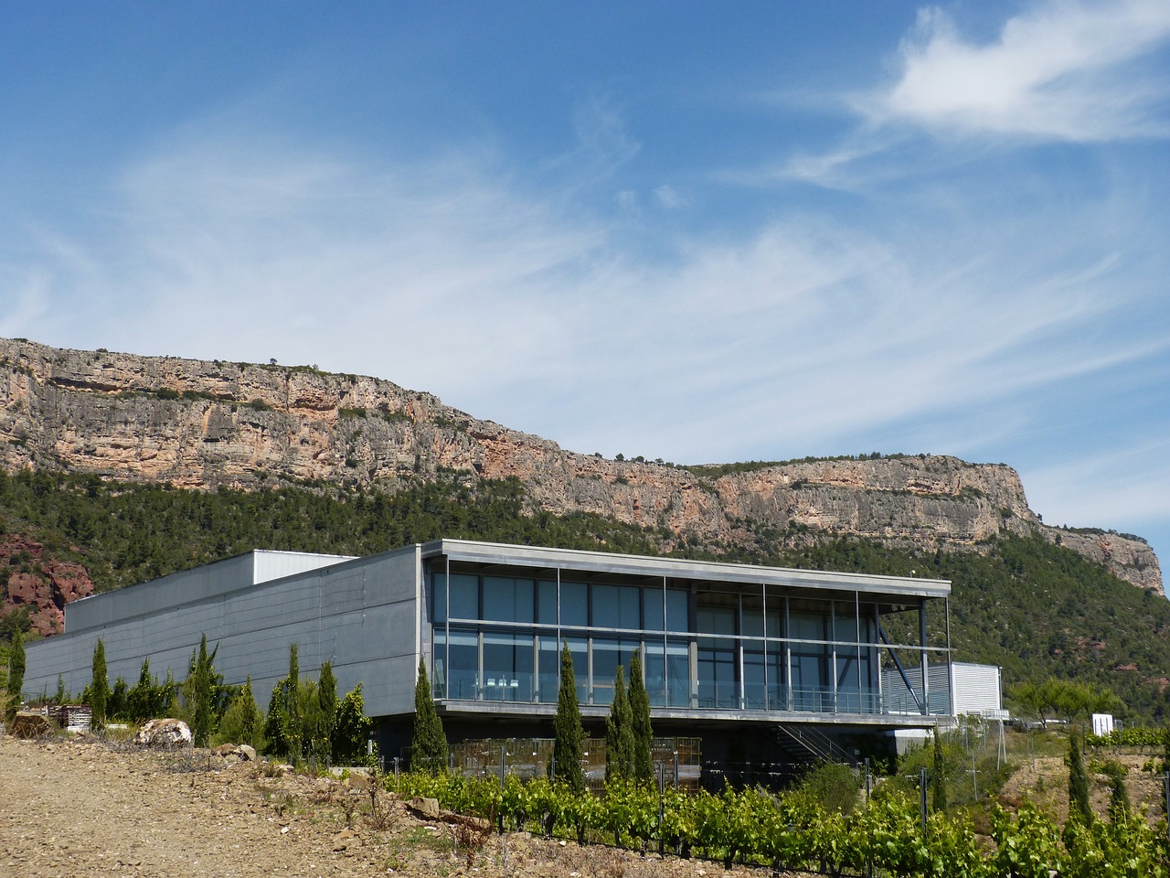 modern architecture winery wine production free photo