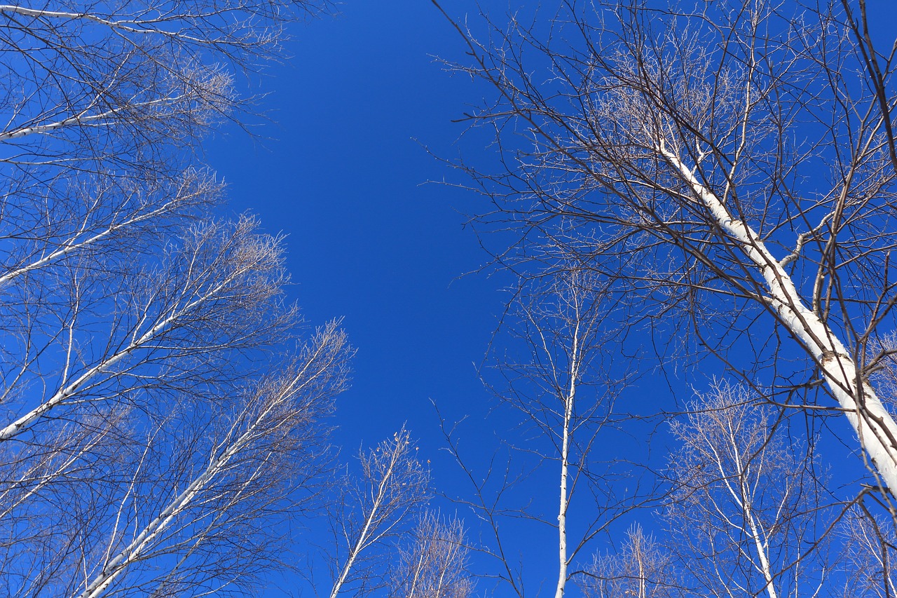 mohe blue sky free photo