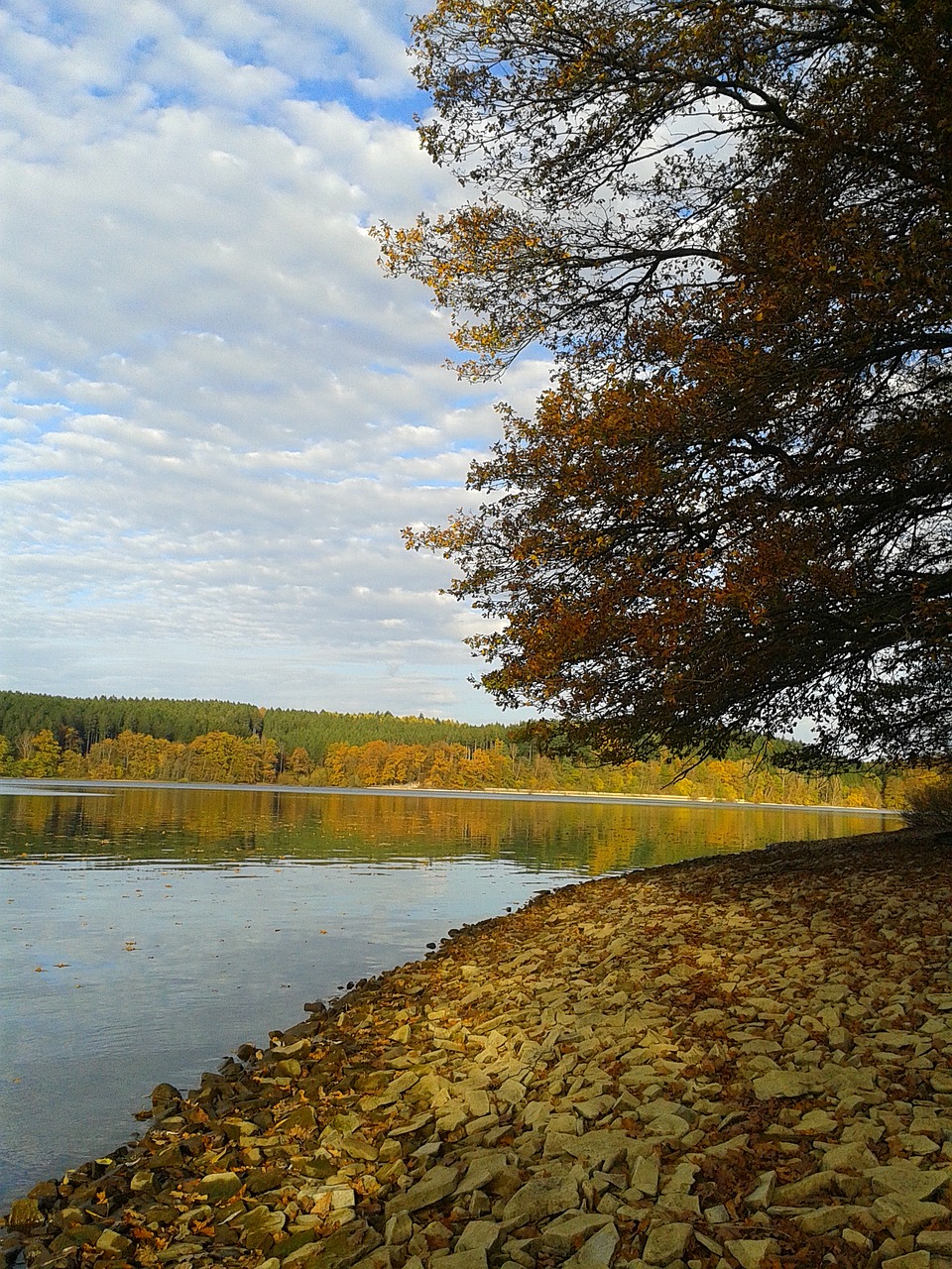 möhnesee reservoir autumn free photo