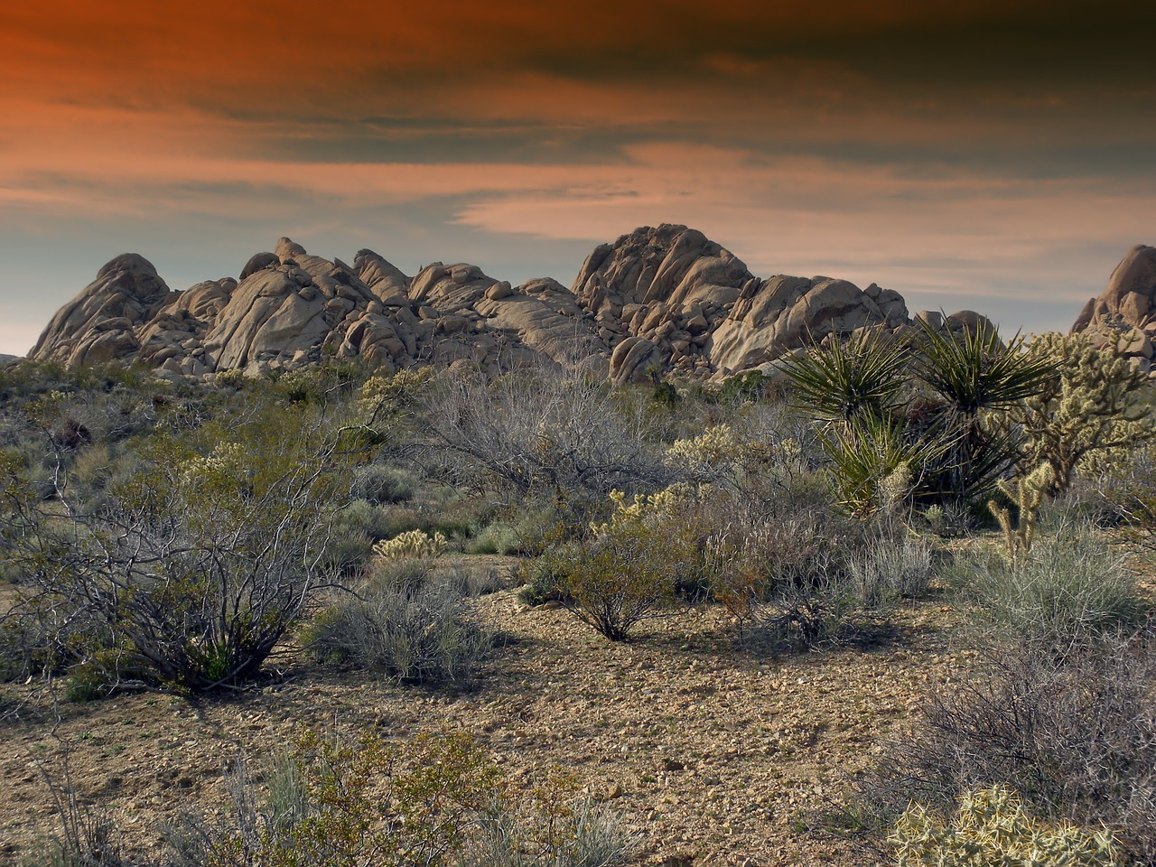 mojave desert california free photo