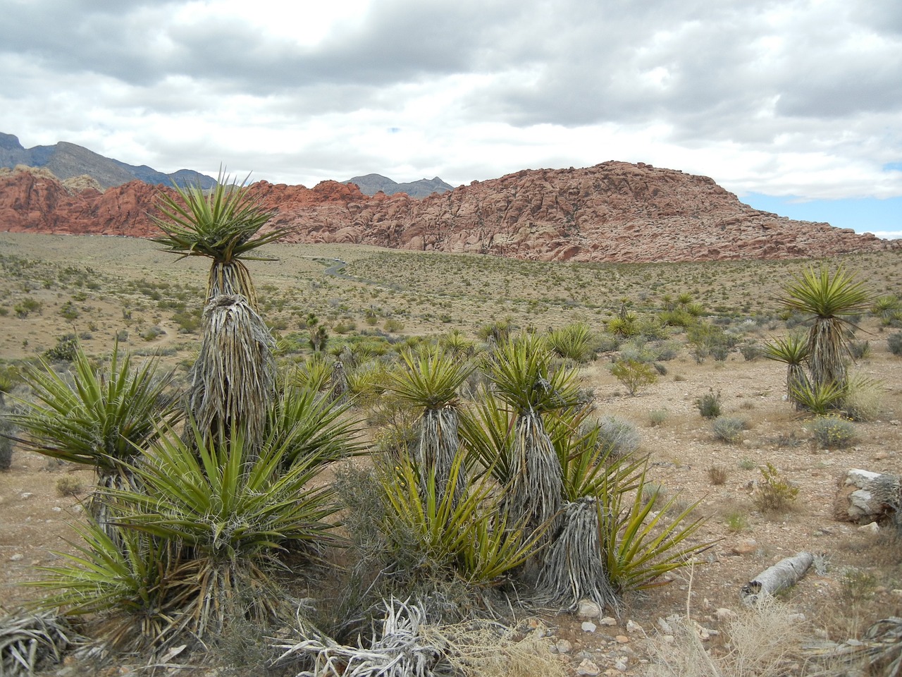 mojave desert mountains free photo