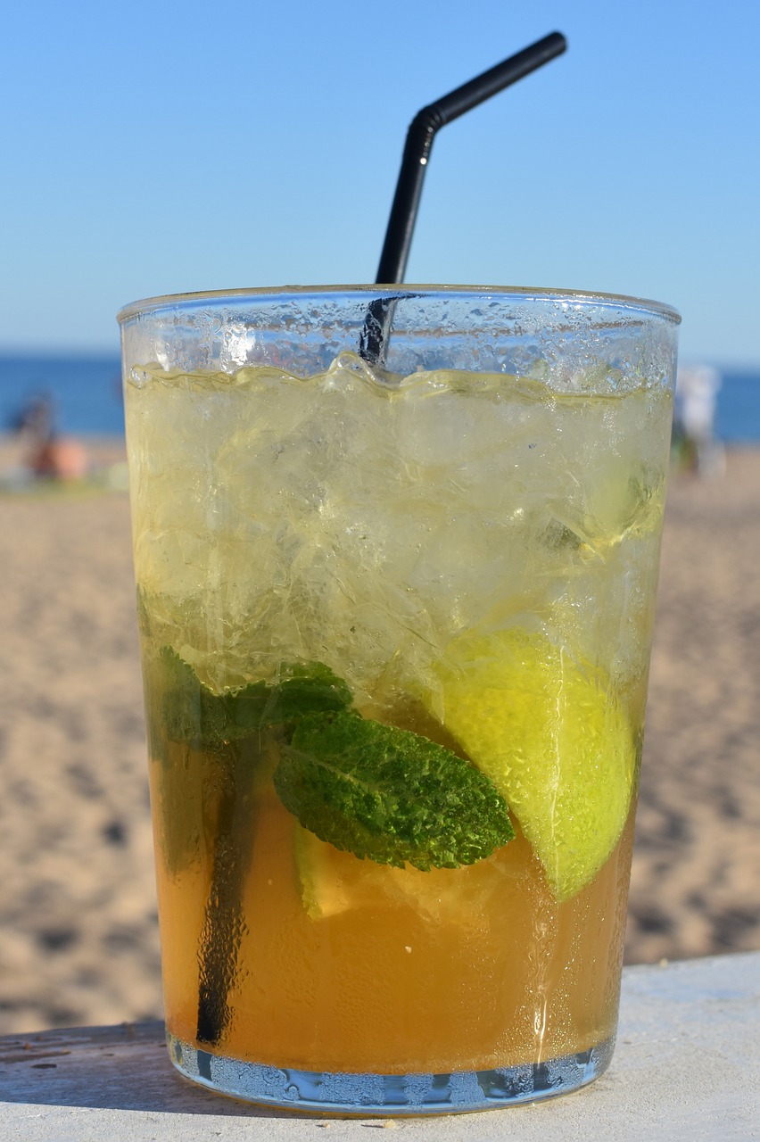 mojito beach drink free photo