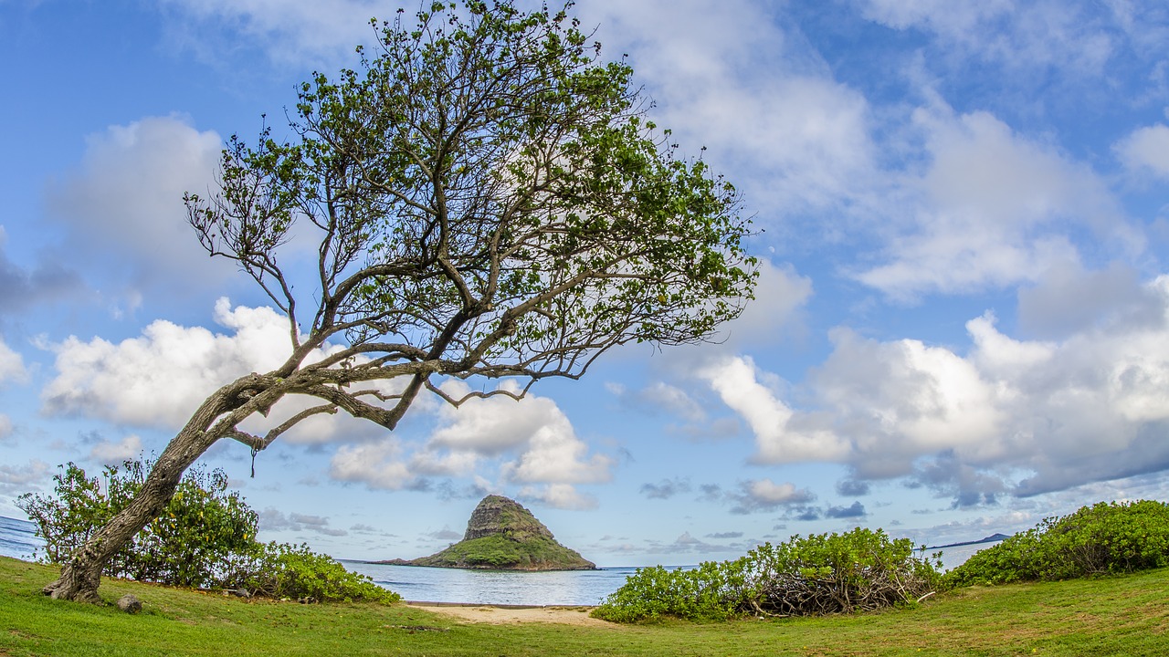 mokolii  chinaman's hat  oahu free photo