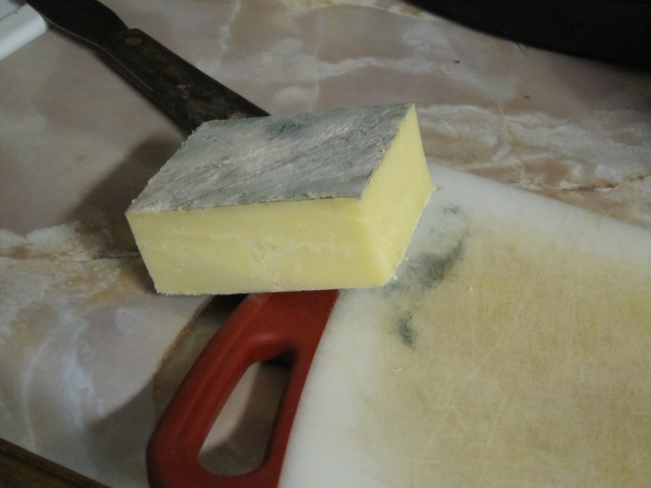 mold on cheese free photo