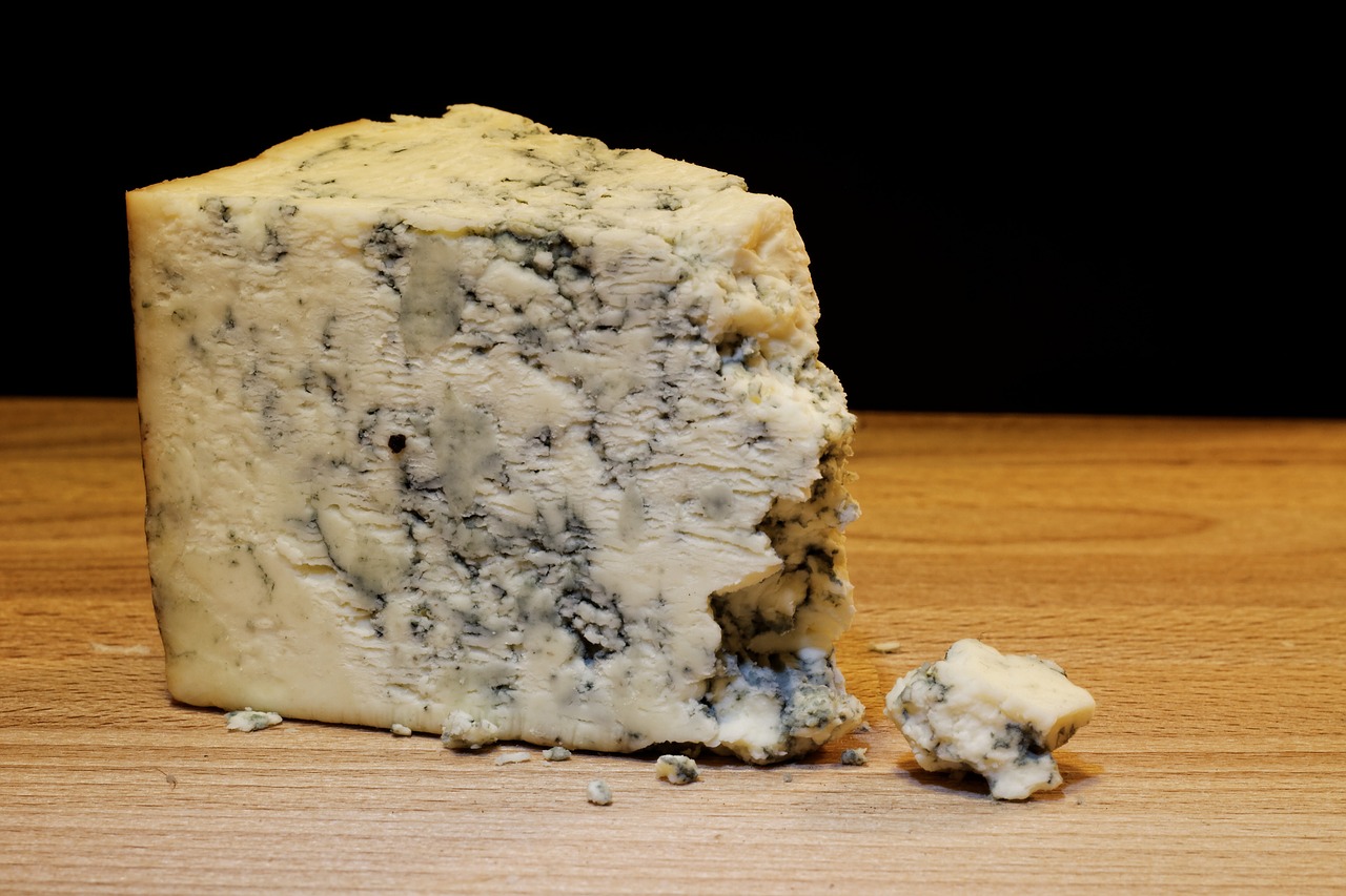 mold cheese food dairy free photo